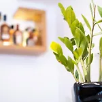 Loft 3* Patras