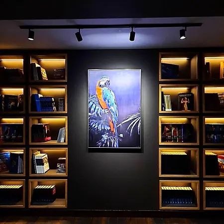 Loft 3*