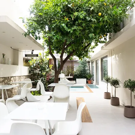 Loft 3*